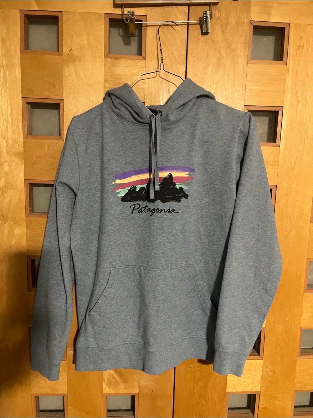 Patagonia Gray Hoodie with Multicolor Mountain Graphic